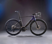 Hawkeye Purple/Black