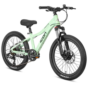 ICON Freedom 20" MTB