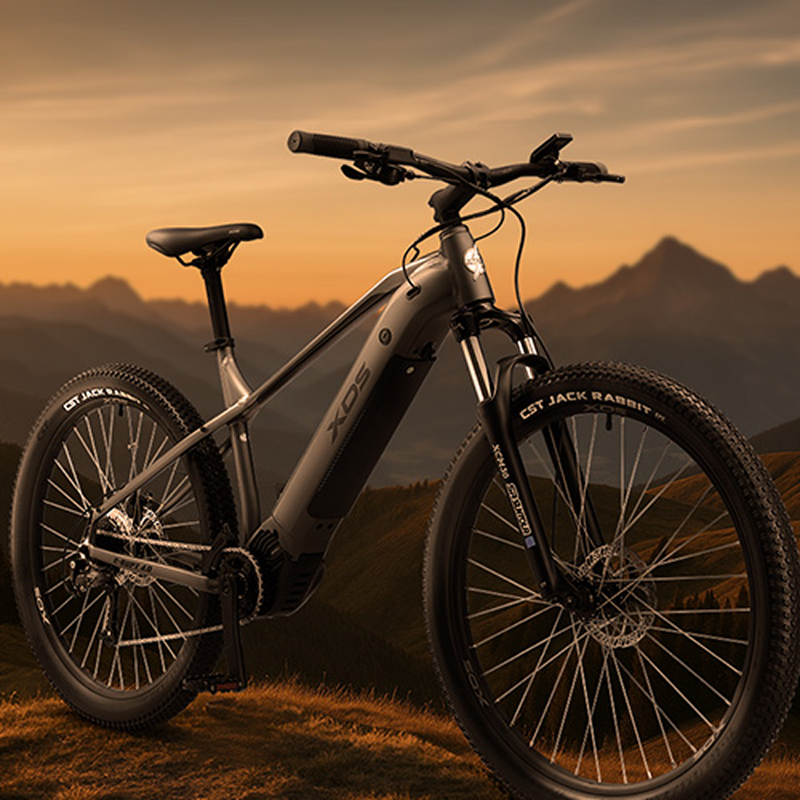 Mountain Bikes